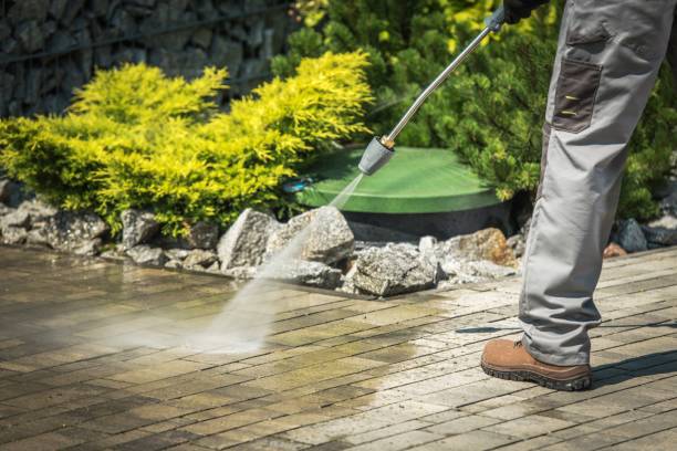 Best Boat and Dock Cleaning  in New Martinsville, WV